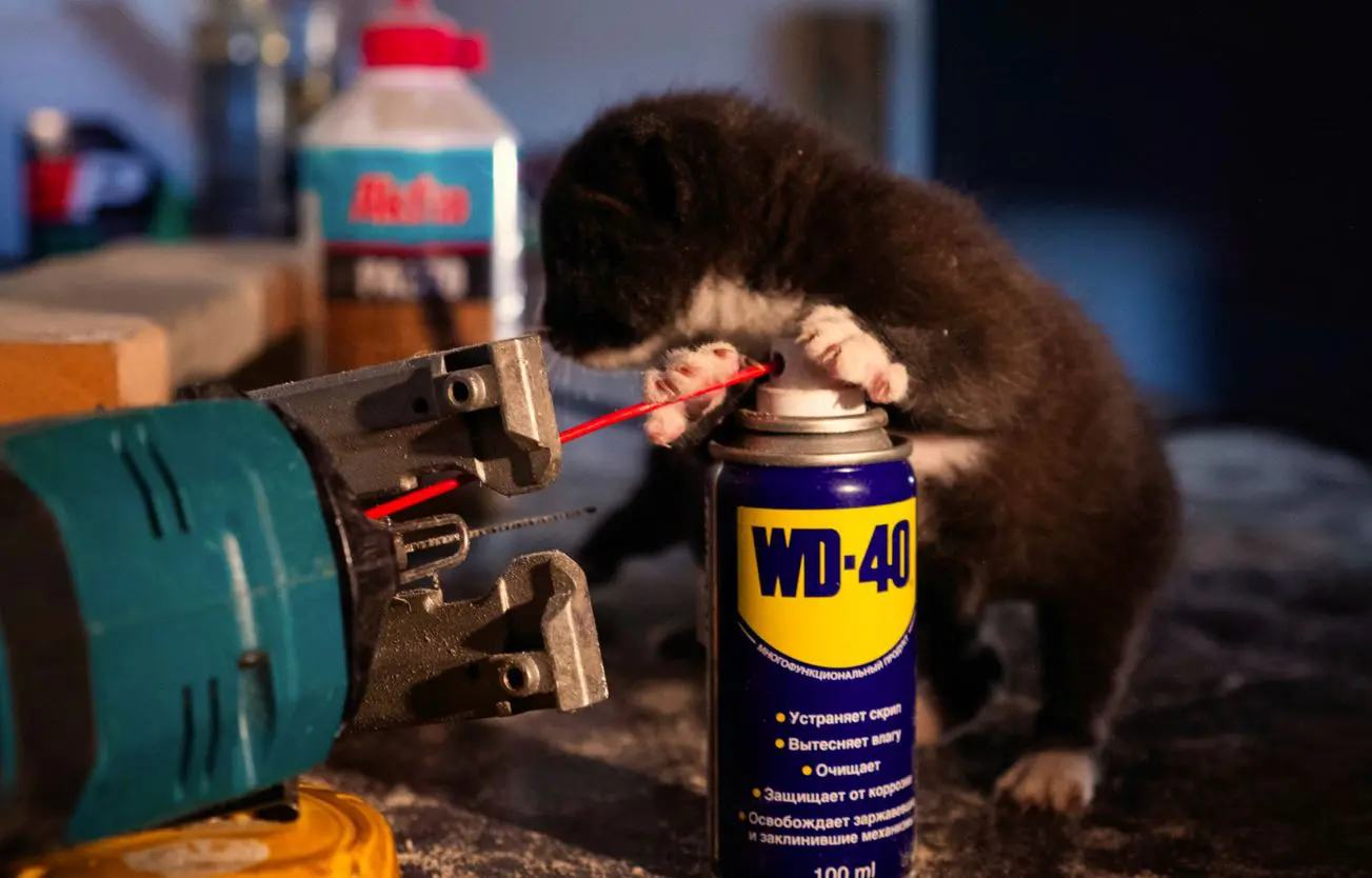 WD-40 rust remover