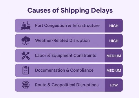 Top 10 Shipping Companies in India 2025